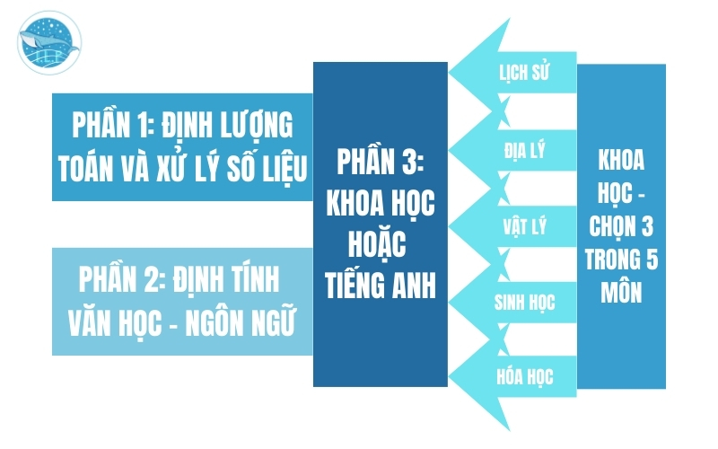 Tổng hợp những môn khi ôn thi đánh giá năng lực