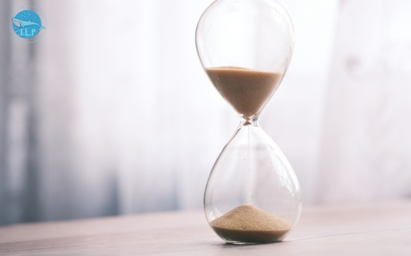 Tham gia luyện đề và thi thử, làm quen áp lực phòng thi 