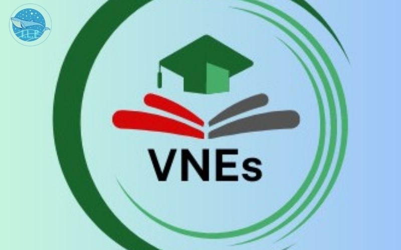 Hệ thống trung tâm giáo dục VNEs